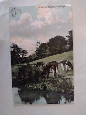 Vintage postcard cranleigh for sale  POTTERS BAR