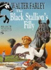 Black stallion filly for sale  UK