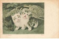 Chats mk257 chatons d'occasion  France