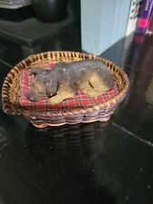 Dog basket sandicast. for sale  Jacksonville