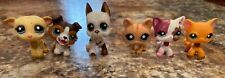 lps dogs for sale  Anderson