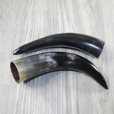 Polished cow horns for sale  Parma