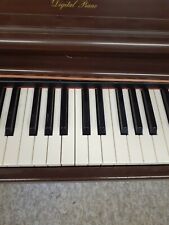 Used, Technics Digital Piano Keys (and weights if desired) - SELLING INDIVIDUALLY !!! for sale  Shipping to South Africa