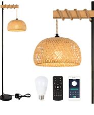Rayofly Boho Floor Lamp, Dimmable Rattan Floor Lamps with Remote Living Room for sale  Shipping to South Africa