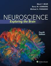 Neurociência: Explorando o Cérebro por Mark Bear, Michael A. Paradiso e Barry... comprar usado  Enviando para Brazil