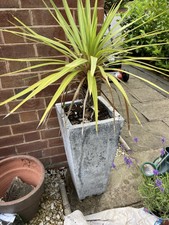 large stone pots for sale large stone pots for sale BEWDLEY
