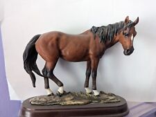 Bay stallion horse for sale  BATH