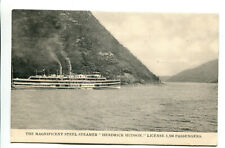Magnificent steamer hendrick for sale  Shipping to Ireland