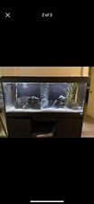 Fluval roma 240l for sale  HASSOCKS