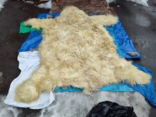 hide bear rug for sale  South Lake Tahoe