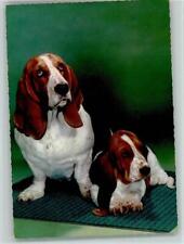 12093518 basset 1970 gebraucht kaufen  Deutschland