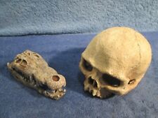 Joblot skeleton skulls for sale  TAUNTON