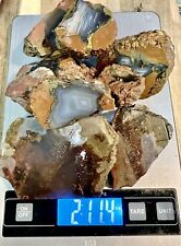 Oregon thundereggs pieces for sale  Roseburg