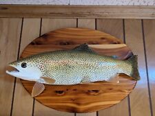 22.5 rainbow trout for sale  Blacksburg