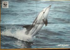 Delfin poster 42 gebraucht kaufen  Hollern-Twielenfleth