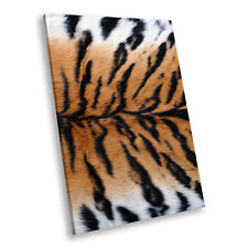 Tiger skin orange for sale  STRABANE