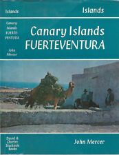 Canary islands fuerteventura. usato  Italia