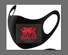Welsh wales dragon for sale  WAKEFIELD