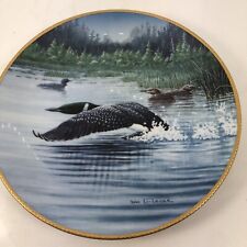 Loons time fly for sale  Danville