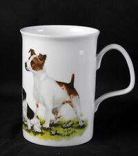 Jack russell terrier for sale  DERBY