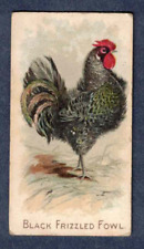 Used, BLACK FRIZZLED FOWL 1891 N20 Allen & Ginter Prize & Game Chickens for sale  Shipping to South Africa