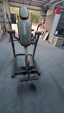 LOCAL PICK UP ONLY----Healthrider Inversion Table System for sale  Shipping to South Africa