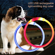 Led collier chien d'occasion  France
