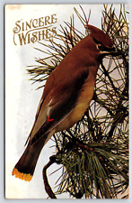 Postcard sincere wishes for sale  Decatur