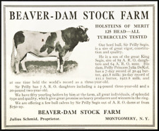 1915 beaver dam for sale  Hurricane