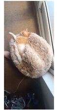 Cat bed cave for sale  Colorado Springs