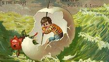 1880-1890s tarjeta Newton Ludlam Wall Street NUEVA YORK Hueso Fertilizante Para Niño huevo Rose segunda mano  Embacar hacia Spain