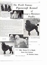 Standard poodle kennel for sale  CAMELFORD
