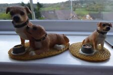 Two staffordshire bull for sale  HALIFAX