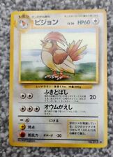 Japanese pidgeotto pigeon for sale  SHEFFIELD