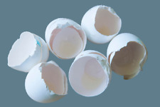 Organic white Egg Shell Crushed, Calcium, Fertilizer, Garden Slugs, 100 grams for sale  Shipping to South Africa