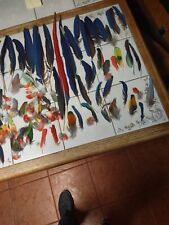 Molted parrot feathers for sale  Lindenhurst