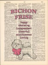 bichon for sale  Shipping to Ireland