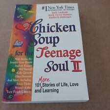 1998 chicken soup for sale  Finleyville