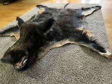 bearskin rug for sale  Elk River