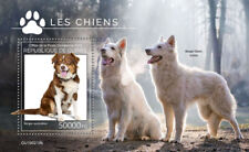Selos de cães da Guiné 2019 MNH pastor australiano branco cão pastor suíço 1v P/S comprar usado  Enviando para Brazil
