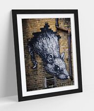 Cool rat wall for sale  LONDONDERRY