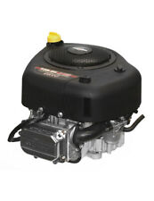 Briggs stratton 13.5 usato  Italia