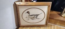 pintails duck picture for sale  Reynoldsburg