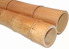 Canne di Bamboo Gigante - 100 - 150 - 200 - 300 cm - Bambù - SECONDA SCELTA usato  Prato
