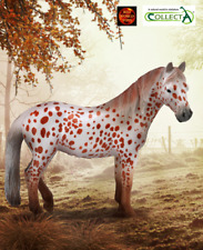 British spotted pony for sale  COVENTRY