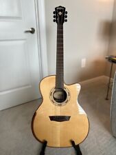 Washburn wcg25sce acoustic for sale  Naples