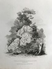 1822 antique print for sale  MARLOW