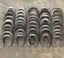 Used horseshoes. clips for sale  Elk River