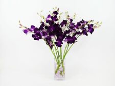 Fresh dendrobium purple for sale  Vancouver