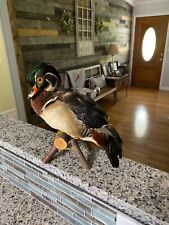 Beautiful wood duck for sale  La Vergne